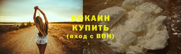 индика Лабытнанги