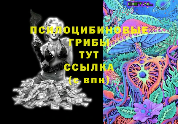 индика Лабытнанги